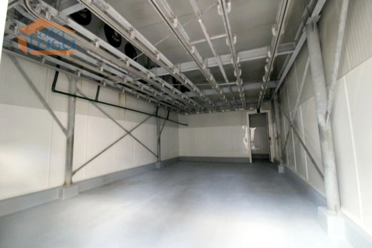 Armazém para Venda em Oliveira do Hospital e São Paio de Gramaços Foto 24