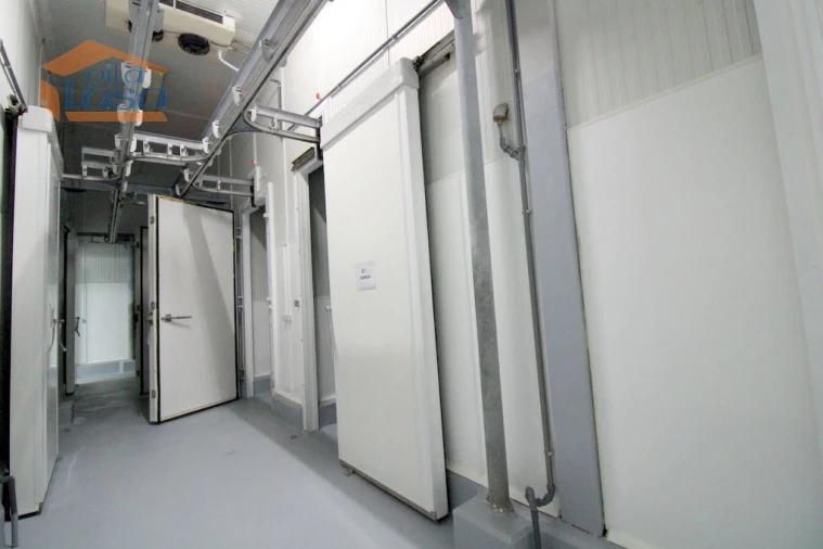 Armazém para Venda em Oliveira do Hospital e São Paio de Gramaços Foto 28