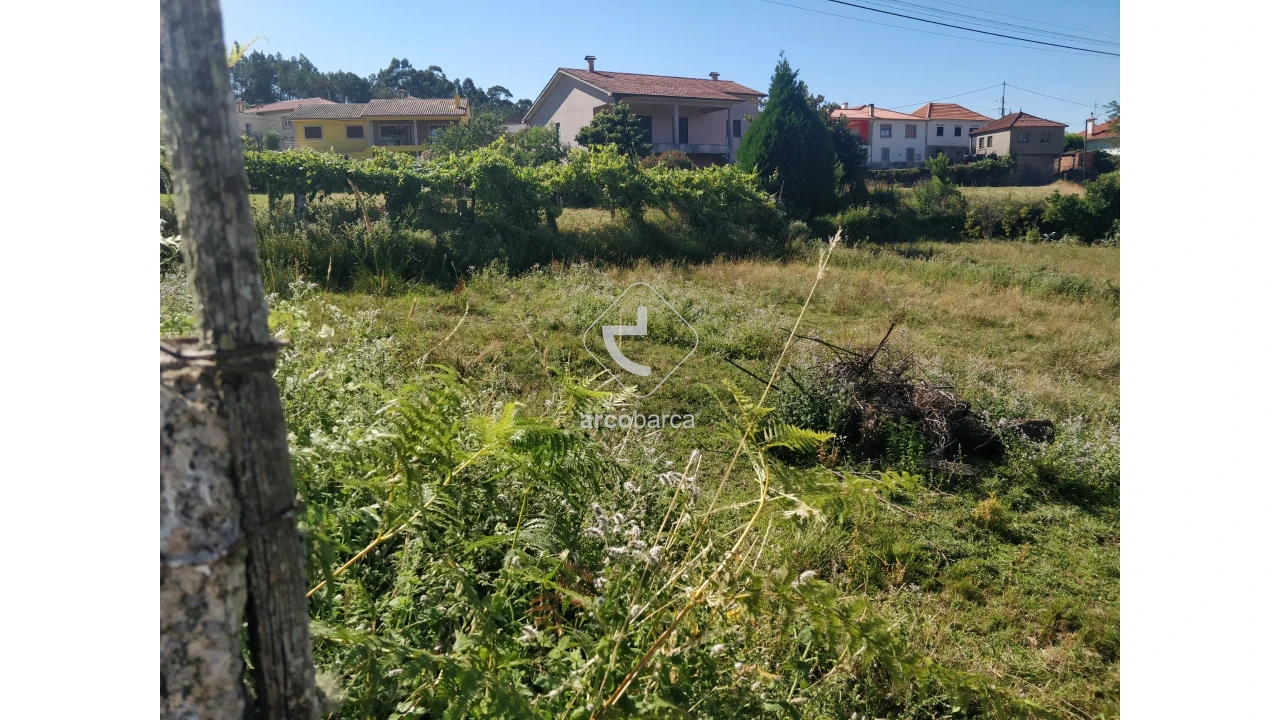 Terreno para Venda em Cunha Foto 10