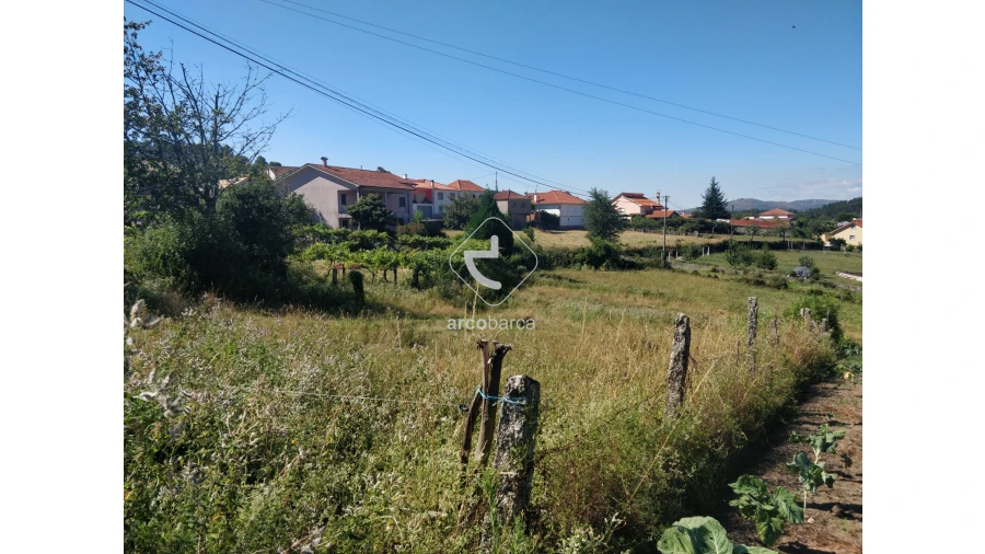Terreno para Venda em Cunha Foto 9