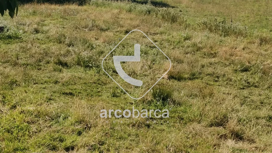 Terreno para Venda em Cunha