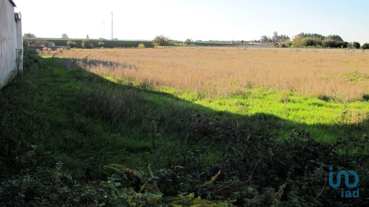 Terreno para Venda em Oliveirinha Foto 13