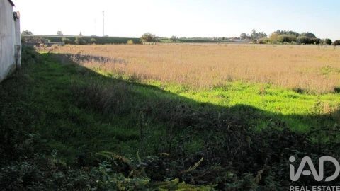 Terreno para Venda em Oliveirinha
