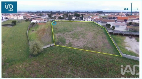 Terreno para Venda em Oliveirinha