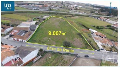 Terreno para Venda em Oliveirinha