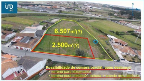 Terreno para Venda em Oliveirinha