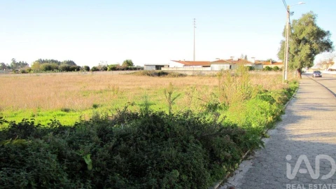 Terreno para Venda em Oliveirinha