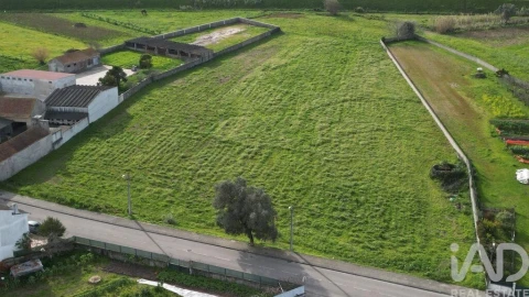 Terreno para Venda em Oliveirinha