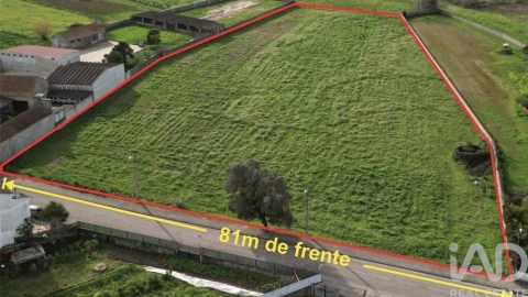 Terreno para Venda em Oliveirinha