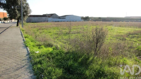 Terreno para Venda em Oliveirinha