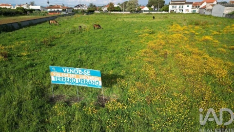 Terreno para Venda em Oliveirinha
