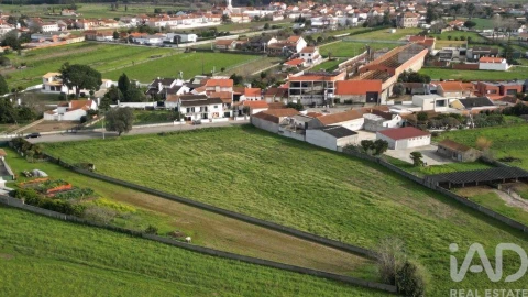 Terreno para Venda em Oliveirinha
