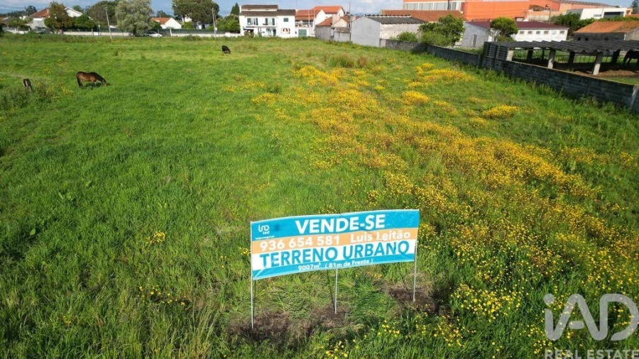 Terreno para Venda em Oliveirinha Foto 18