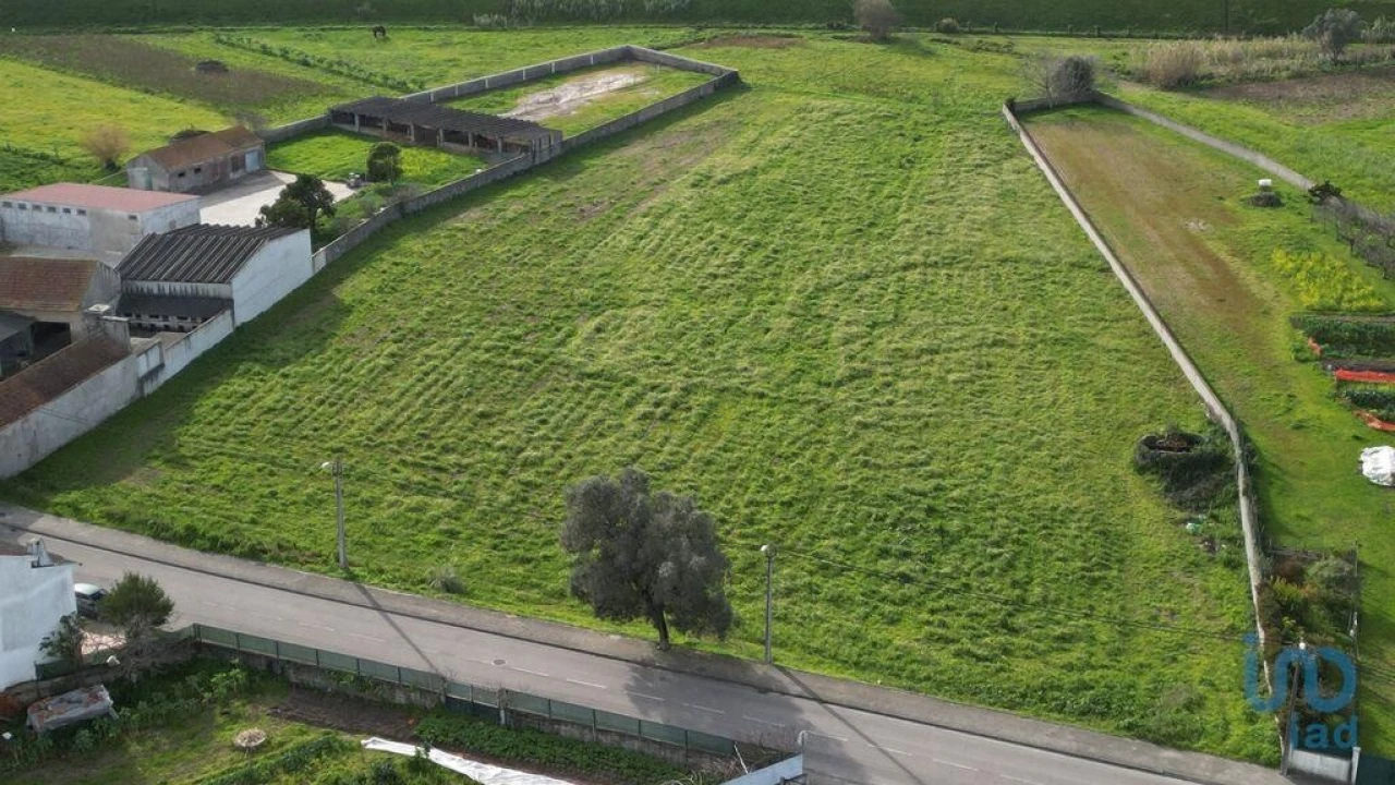 Terreno para Venda em Oliveirinha Foto 14