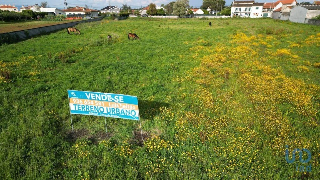 Terreno para Venda em Oliveirinha Foto 1