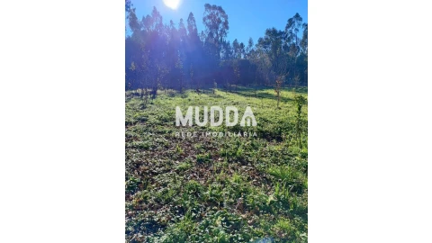 Terreno para Venda em Santa Maria da Feira, Travanca, Sanfins e Espargo