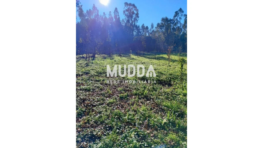 Terreno para Venda em Santa Maria da Feira, Travanca, Sanfins e Espargo Foto 2