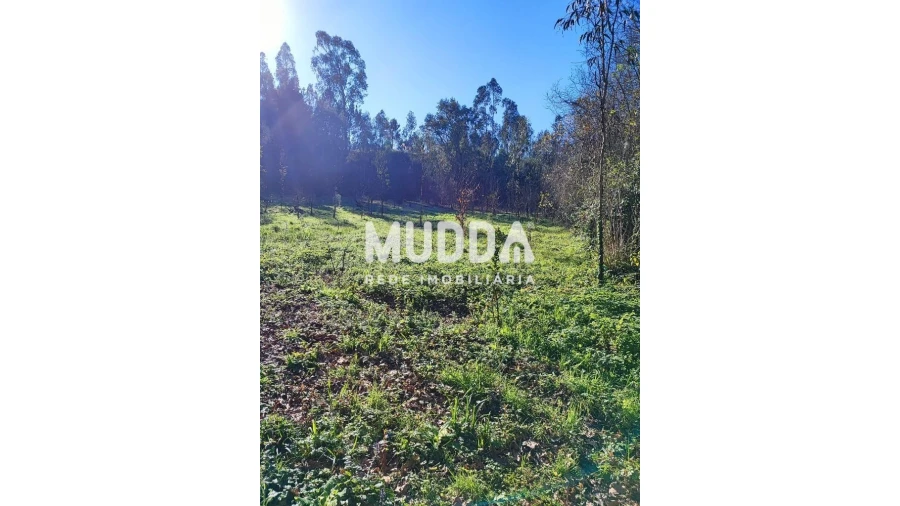 Terreno para Venda em Santa Maria da Feira, Travanca, Sanfins e Espargo