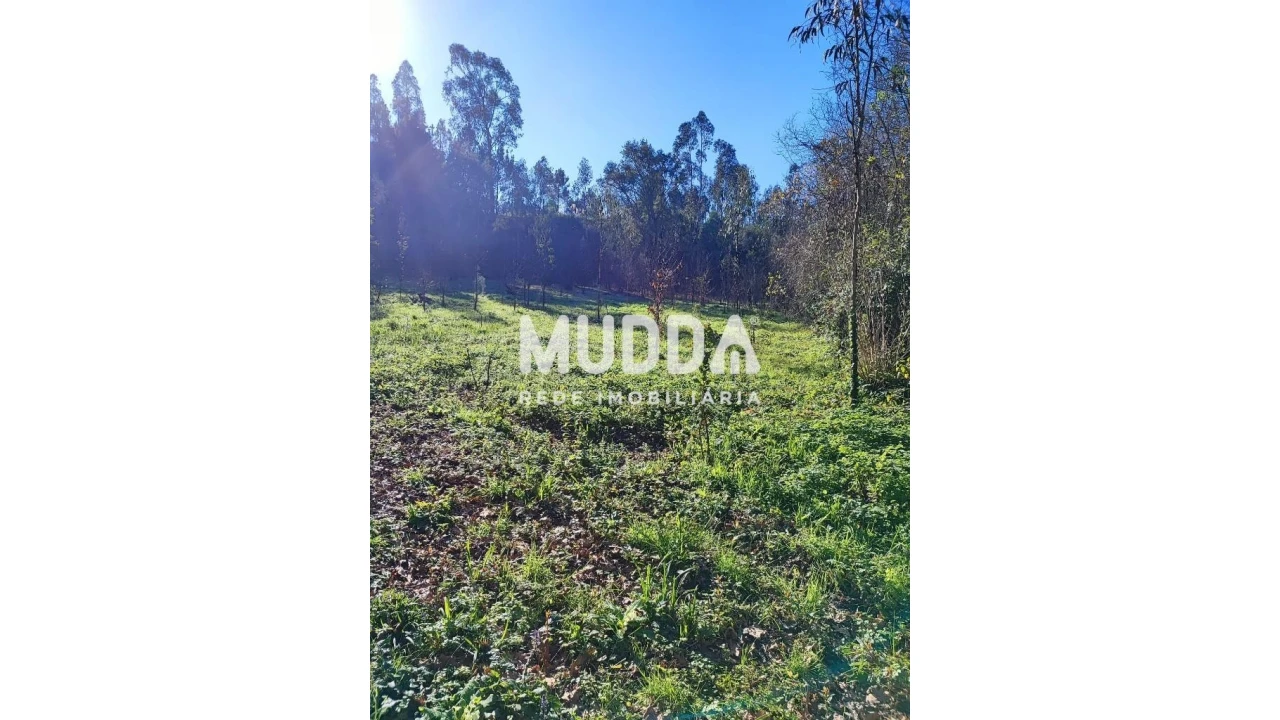 Terreno para Venda em Santa Maria da Feira, Travanca, Sanfins e Espargo Foto 1