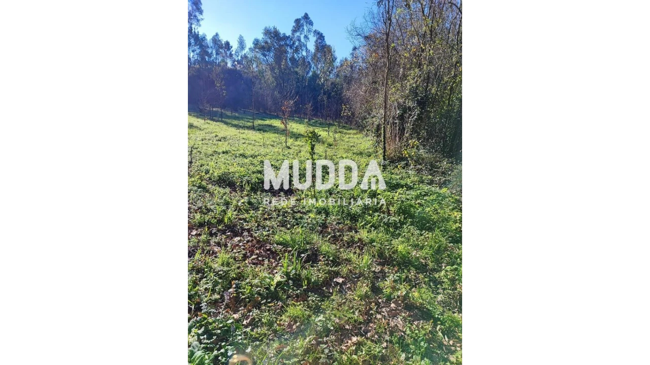 Terreno para Venda em Santa Maria da Feira, Travanca, Sanfins e Espargo Foto 3