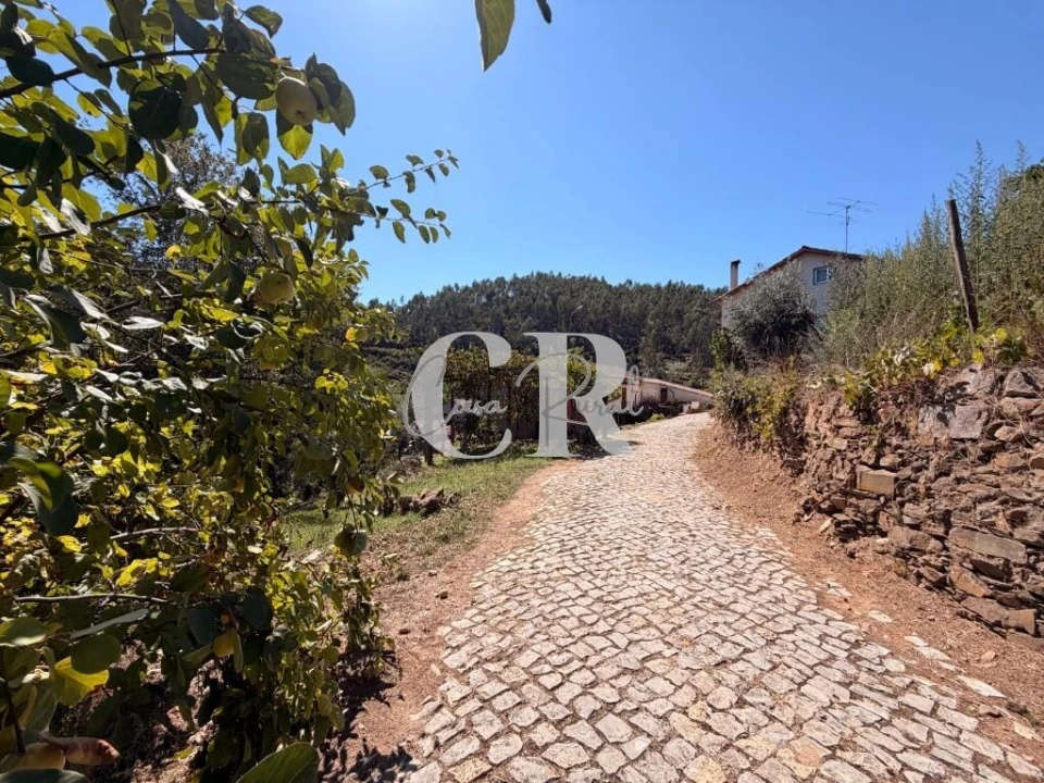 Moradia T2 para Venda em Figueiró dos Vinhos e Bairradas Foto 37