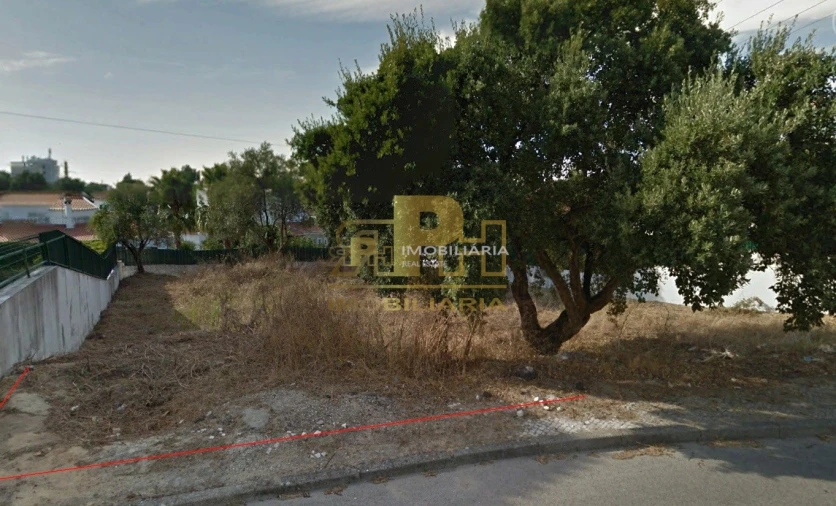 Terreno para Venda em Marvila, Ribeira Santarém, São Salvador, São Nicolau Foto 3