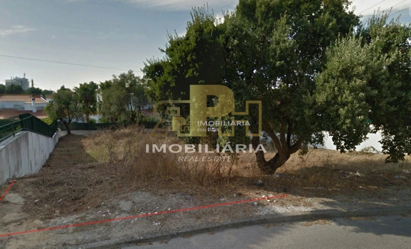 Terreno para Venda em Marvila, Ribeira Santarém, São Salvador, São Nicolau Foto 12