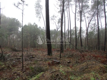 Terreno para Venda em Ribafeita