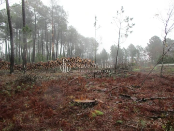 Terreno para Venda em Ribafeita