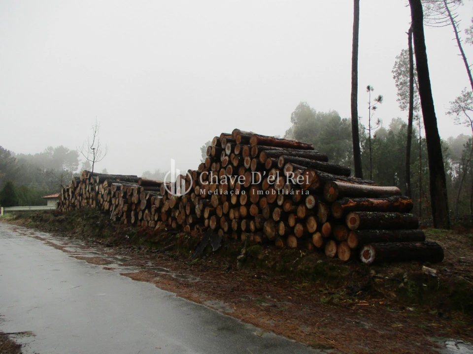 Terreno para Venda em Ribafeita Foto 5