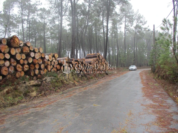 Terreno para Venda em Ribafeita Foto 7