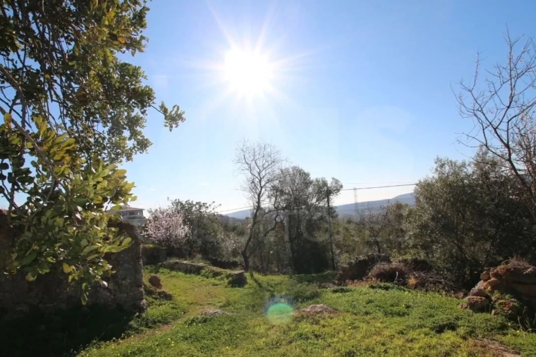 Terreno para Venda em Santa Catarina da Fonte do Bispo Foto 5