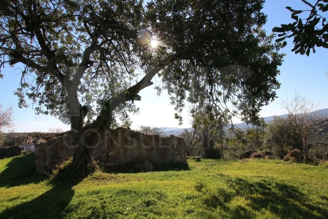 Terreno para Venda em Santa Catarina da Fonte do Bispo Foto 1