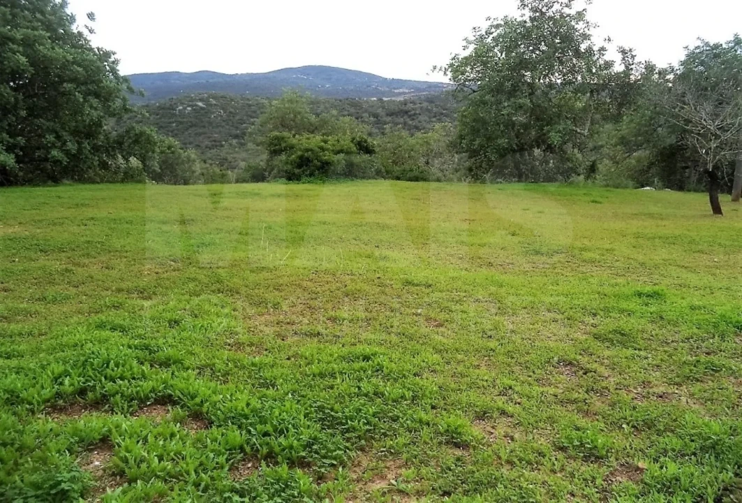 Terreno para Venda em Santa Catarina da Fonte do Bispo Foto 4
