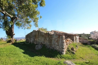 Terreno para Venda em Santa Catarina da Fonte do Bispo