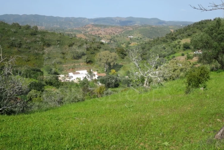Terreno para Venda em Santa Catarina da Fonte do Bispo Foto 2