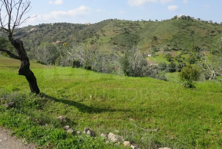 Terreno para Venda em Santa Catarina da Fonte do Bispo Foto 3