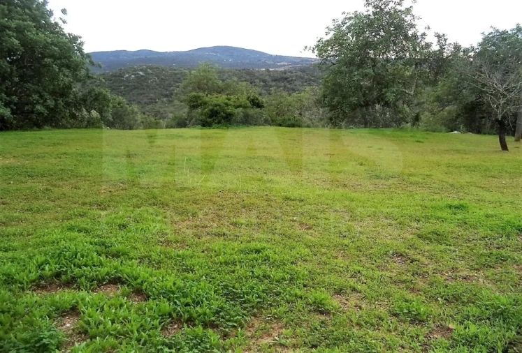 Terreno para Venda em Santa Catarina da Fonte do Bispo Foto 4