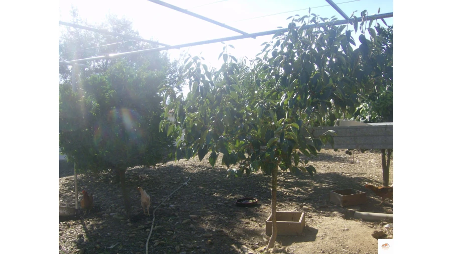 Moradia para Venda em Estreito-Vilar Barroco Foto 10
