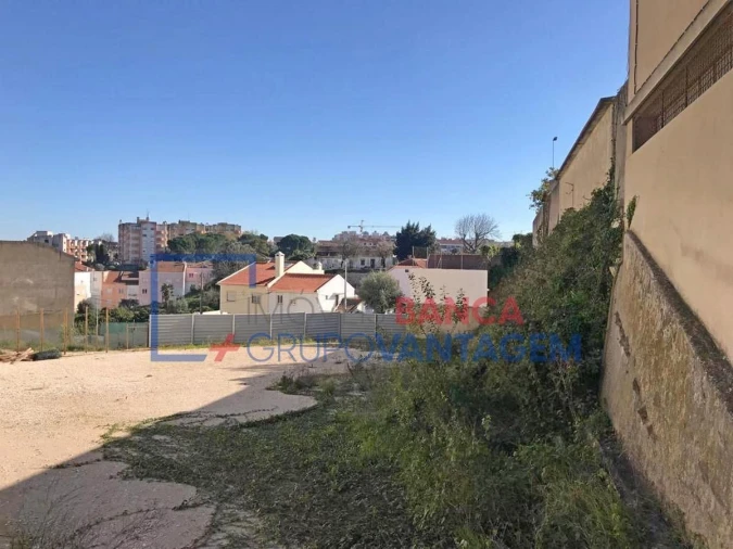 Terreno P/ Prédio para Venda em Torres Novas (Santa Maria, Salvador e Santiago) Foto 3