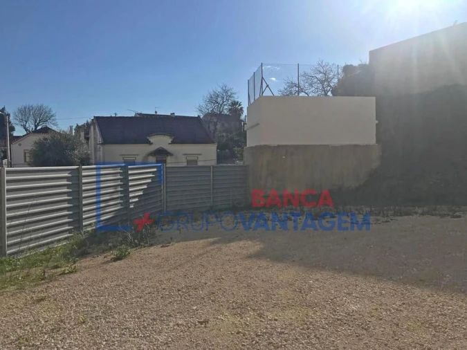 Terreno P/ Prédio para Venda em Torres Novas (Santa Maria, Salvador e Santiago) Foto 6