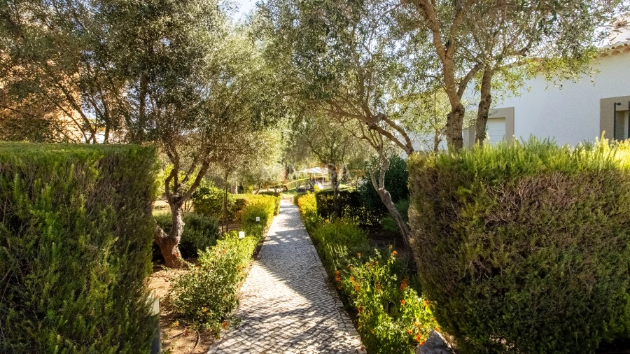 Moradia T3 para Arrendamento em Mexilhoeira Grande Foto 54