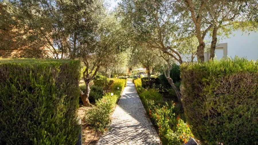 Moradia T3 para Arrendamento em Mexilhoeira Grande Foto 37