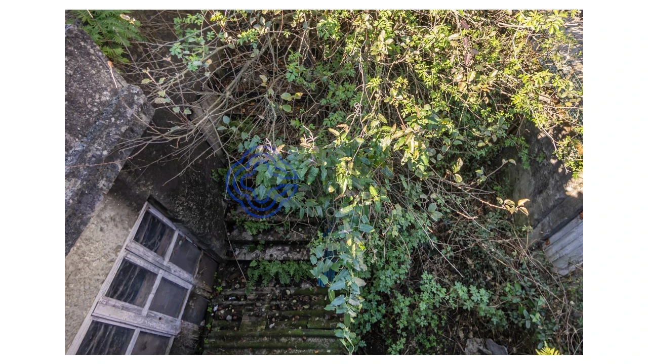 Prédio para Venda em Paranhos Foto 19