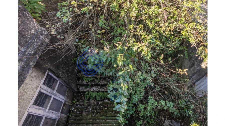 Prédio para Venda em Paranhos Foto 19
