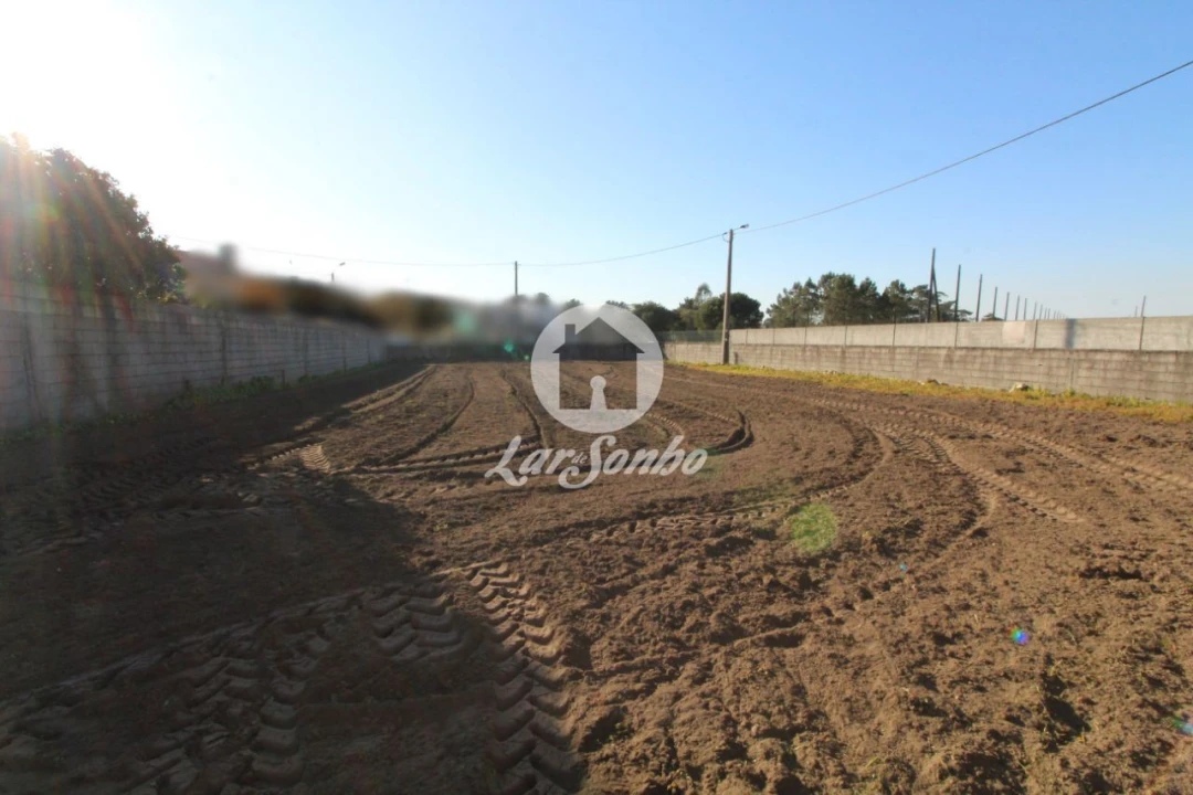 Terreno para Venda em Estela Foto 1