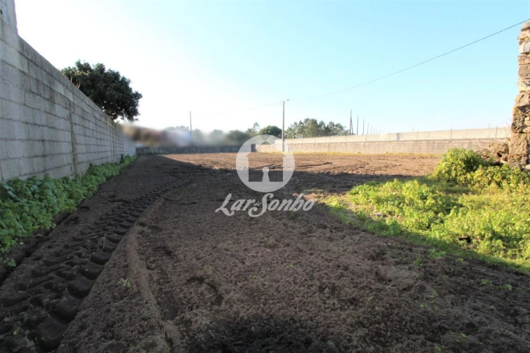 Terreno para Venda em Estela Foto 2