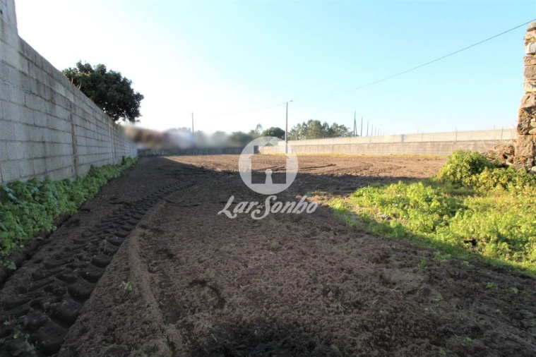 Terreno para Venda em Estela Foto 3