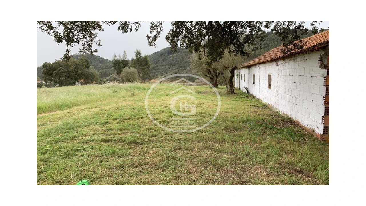 Quinta para Venda em São João da Ribeira e Ribeira de São João Foto 20