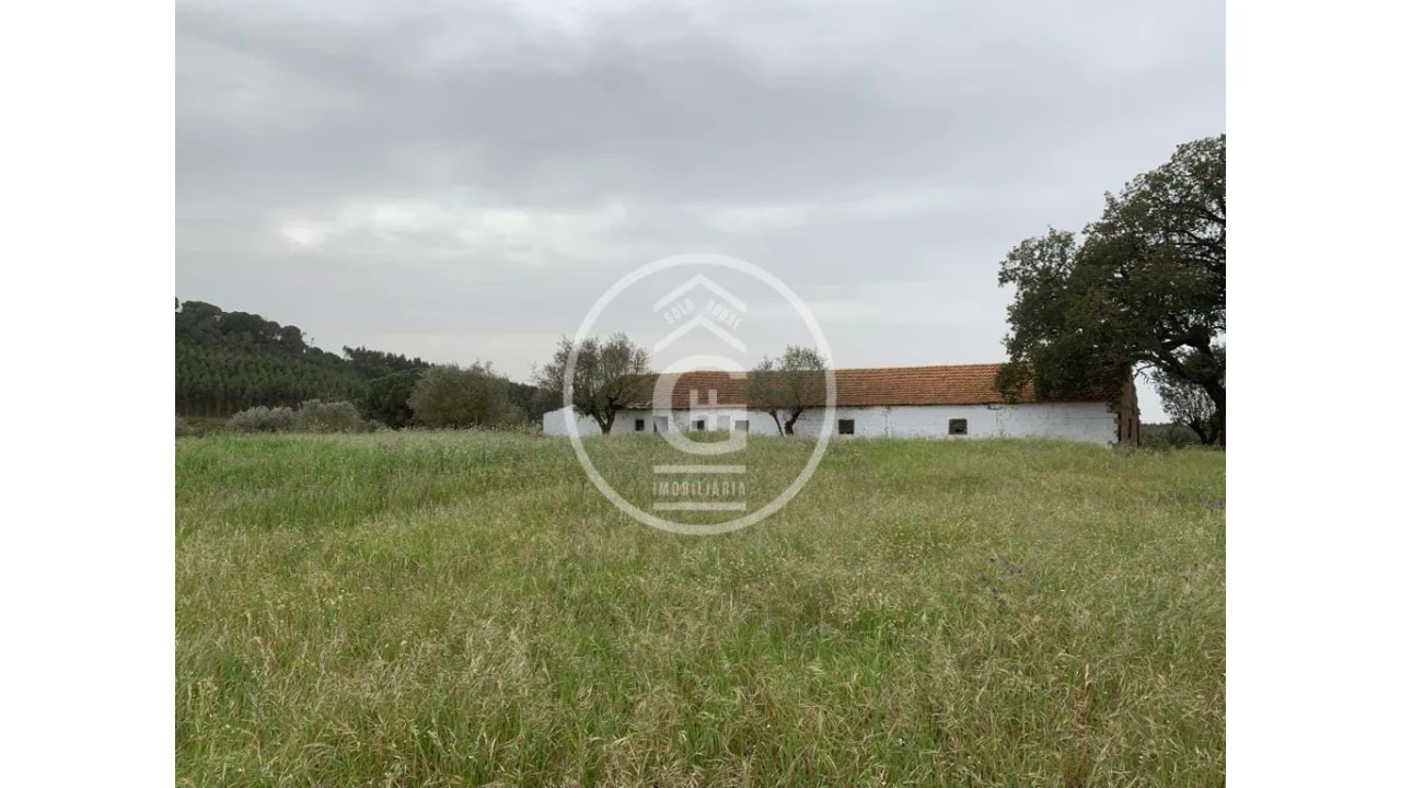 Quinta para Venda em São João da Ribeira e Ribeira de São João Foto 19